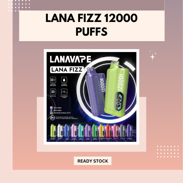 Lana Fizz 12000 Puffs disposable vape device with sleek cartoon-style flavor label design and Type-C charging port