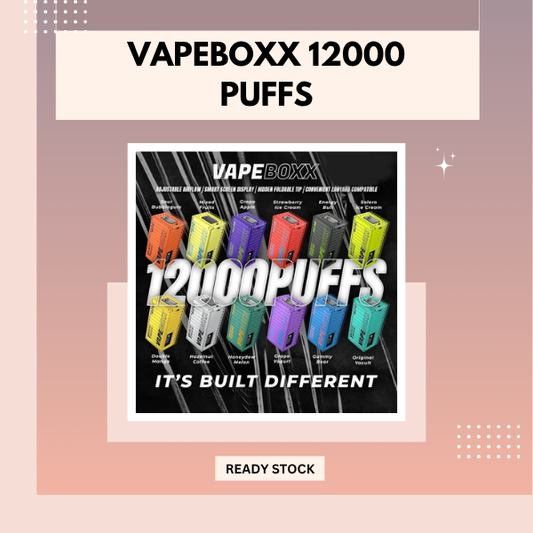 Vapeboxx 12000 Puffs disposable vape device showing sleek design and smart LED display screen